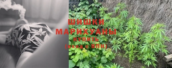 круглые Аркадак