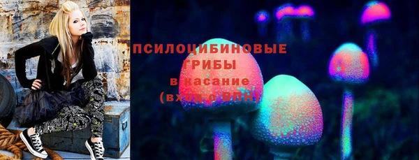 круглые Аркадак